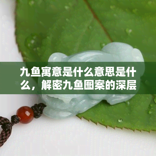 九寓意是什么意思是什么，解密九图案的深层含义：九寓意解析