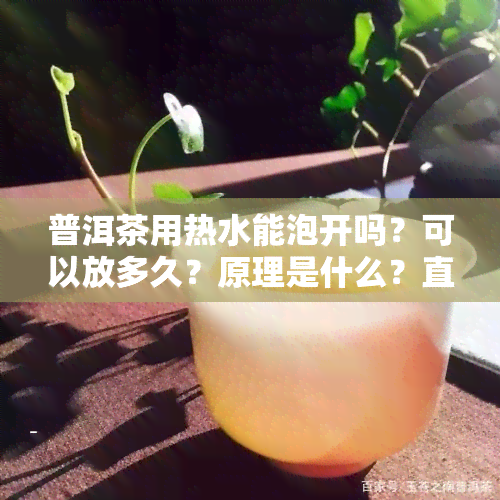 普洱茶用热水能泡开吗？可以放多久？原理是什么？直接用开水泡行吗？