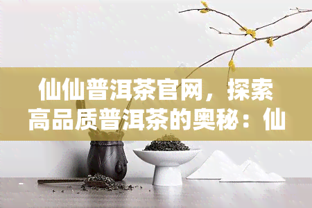 仙仙普洱茶官网，探索高品质普洱茶的奥秘：仙仙普洱茶官网上线！