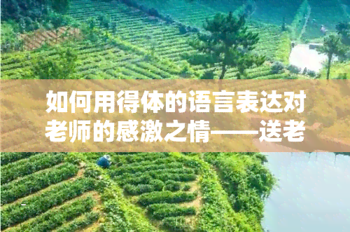 如何用得体的语言表达对老师的感激之情——送老师茶叶的完美说法与赠言技巧