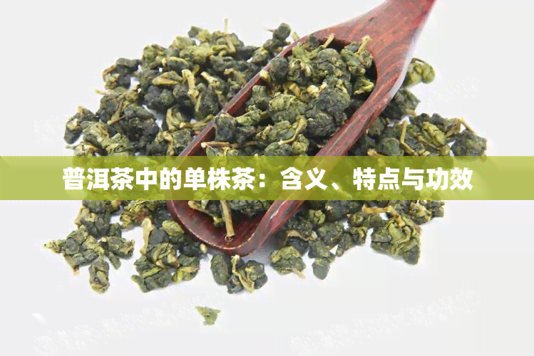 普洱茶中的单株茶：含义、特点与功效