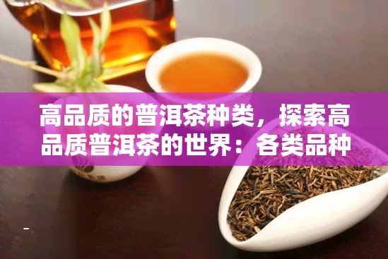 高品质的普洱茶种类，探索高品质普洱茶的世界：各类品种详解