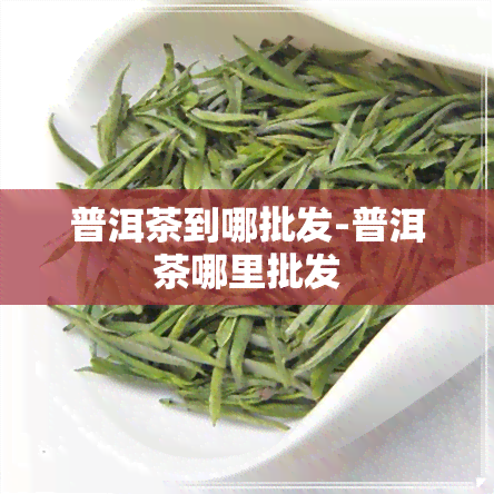 普洱茶到哪批发-普洱茶哪里批发