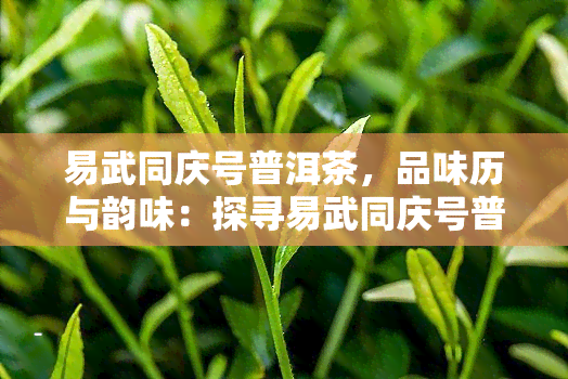 易武同庆号普洱茶，品味历与韵味：探寻易武同庆号普洱茶的魅力