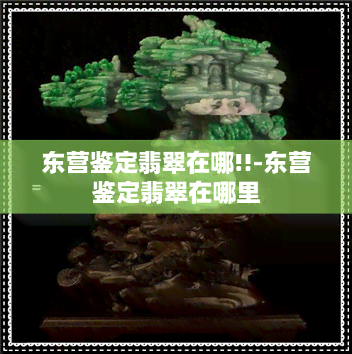 东营鉴定翡翠在哪!!-东营鉴定翡翠在哪里