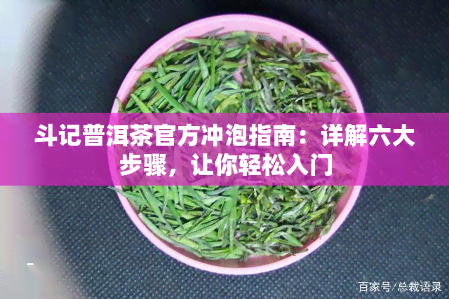 斗记普洱茶官方冲泡指南：详解六大步骤，让你轻松入门