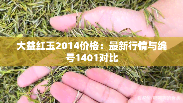 大益红玉2014价格：最新行情与编号1401对比