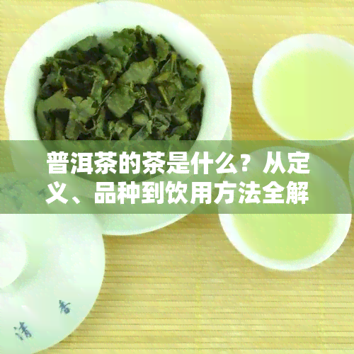 普洱茶的茶是什么？从定义、品种到饮用方法全解析