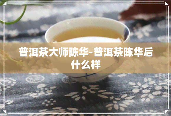 普洱茶大师陈华-普洱茶陈华后什么样