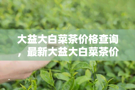 大益大白菜茶价格查询，最新大益大白菜茶价格查询，一网打尽全网信息！