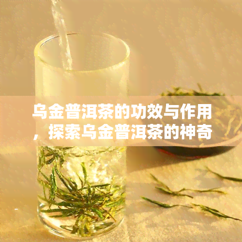 乌金普洱茶的功效与作用，探索乌金普洱茶的神奇功效与作用