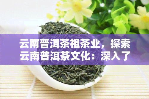 云南普洱茶祖茶业，探索云南普洱茶文化：深入了解云南普洱茶祖茶业