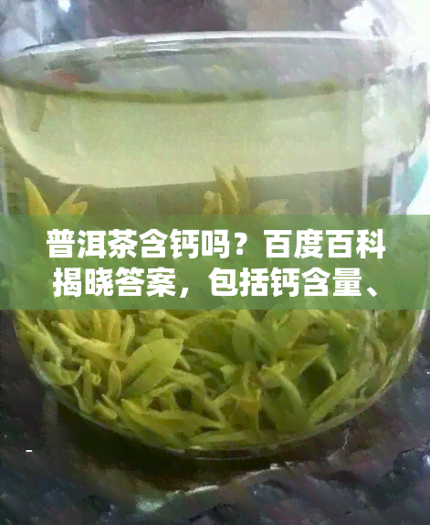 普洱茶含钙吗？百度百科揭晓答案，包括钙含量、是否能补钙以及所含其他元素。