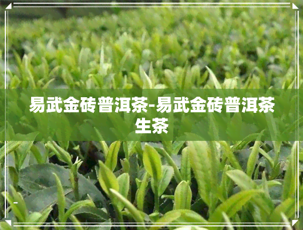 易武金砖普洱茶-易武金砖普洱茶生茶