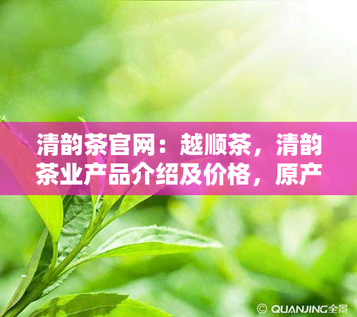 清韵茶官网：越顺茶，清韵茶业产品介绍及价格，原产地揭秘，全系列茶叶，高品质茶品一网打尽！