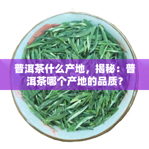 普洱茶什么产地，揭秘：普洱茶哪个产地的品质？