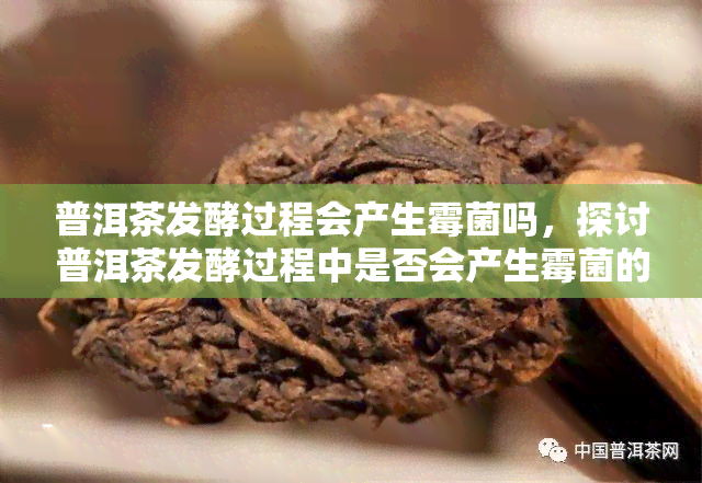 普洱茶发酵过程会产生霉菌吗，探讨普洱茶发酵过程中是否会产生霉菌的问题