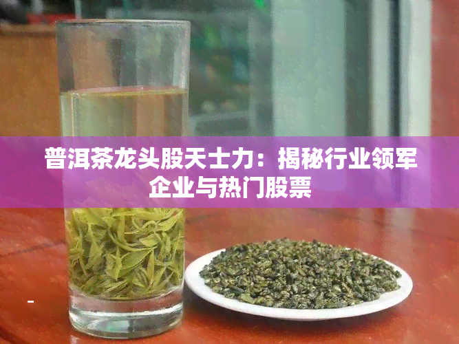 普洱茶龙头股天士力：揭秘行业领军企业与热门股票