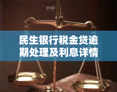 民生银行税金贷逾期处理及利息详情