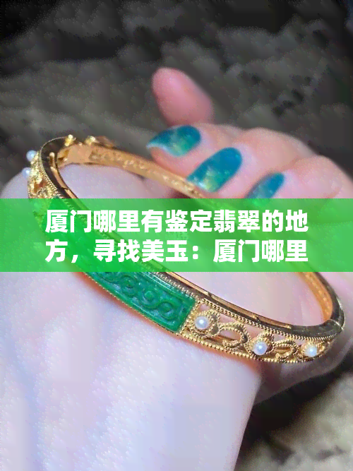 厦门哪里有鉴定翡翠的地方，寻找美玉：厦门哪里可以进行翡翠鉴定？