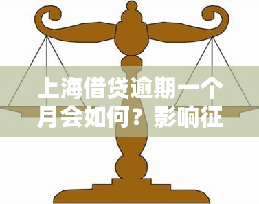 上海借贷逾期一个月会如何？影响、法律责任全解析！