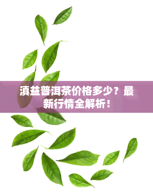 滇益普洱茶价格多少？最新行情全解析！