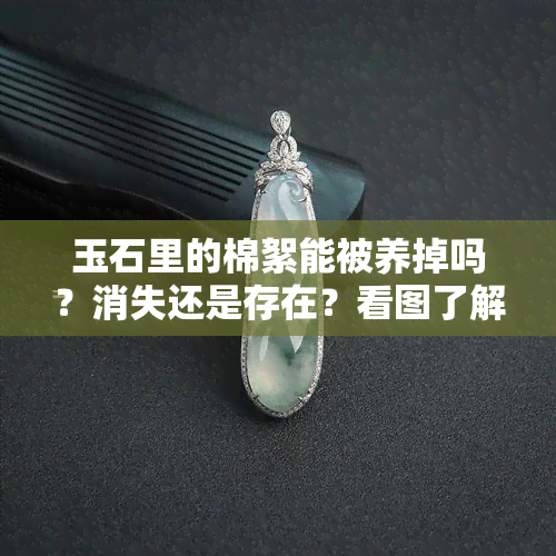 玉石里的棉絮能被养掉吗？消失还是存在？看图了解全貌