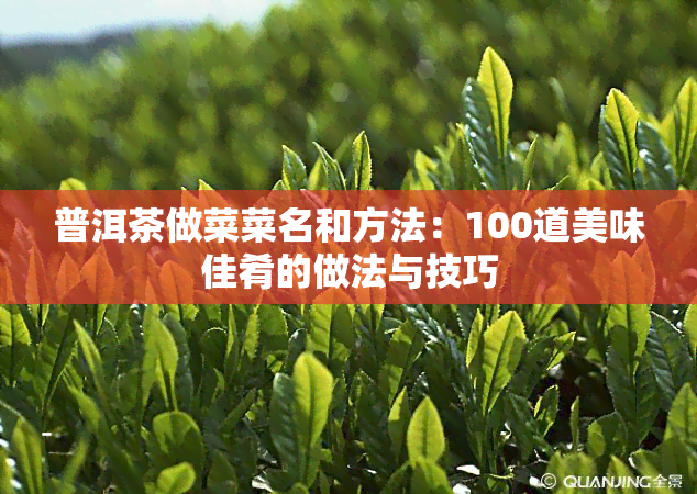 普洱茶做菜菜名和方法：100道美味佳肴的做法与技巧