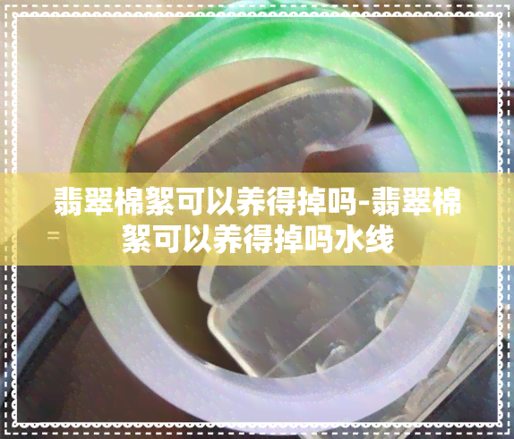 翡翠棉絮可以养得掉吗-翡翠棉絮可以养得掉吗水线