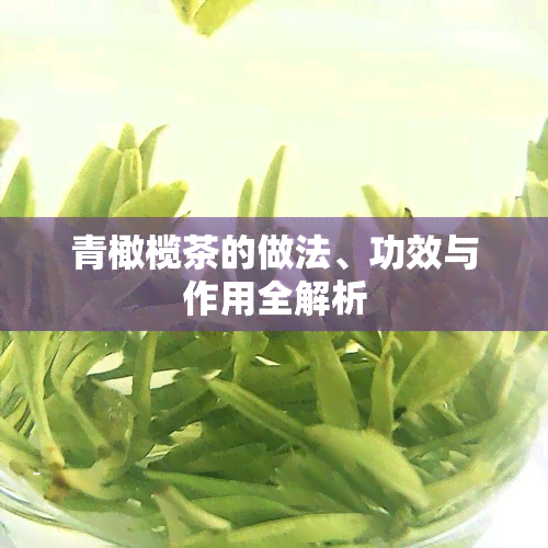 青橄榄茶的做法、功效与作用全解析