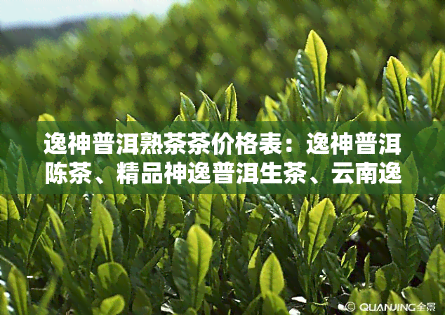 逸神普洱熟茶茶价格表：逸神普洱陈茶、精品神逸普洱生茶、云南逸神生态茶典藏普洱、逸神韵味普洱茶砖全解析