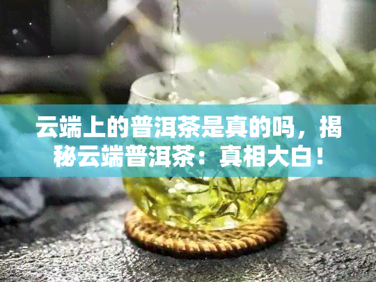 云端上的普洱茶是真的吗，揭秘云端普洱茶：真相大白！