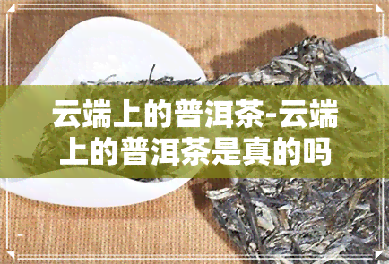 云端上的普洱茶-云端上的普洱茶是真的吗