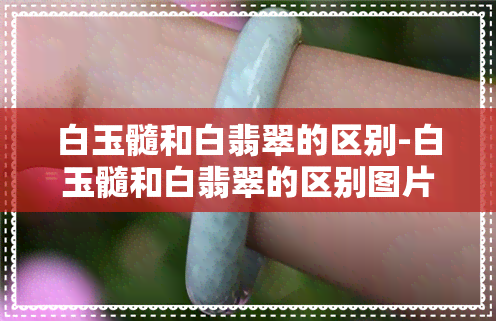 白玉髓和白翡翠的区别-白玉髓和白翡翠的区别图片