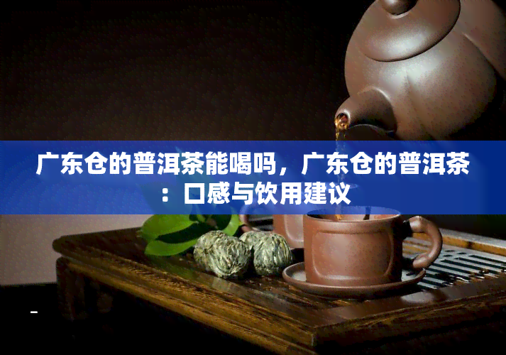 广东仓的普洱茶能喝吗，广东仓的普洱茶：口感与饮用建议