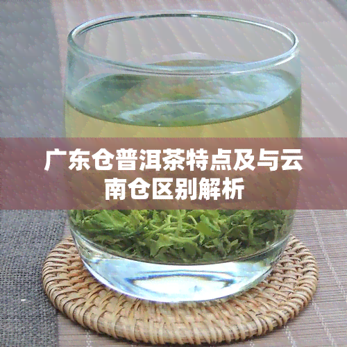 广东仓普洱茶特点及与云南仓区别解析