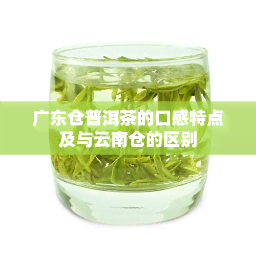 广东仓普洱茶的口感特点及与云南仓的区别