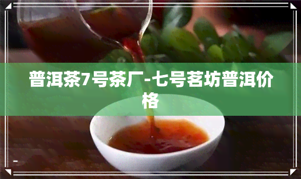 普洱茶7号茶厂-七号茗坊普洱价格