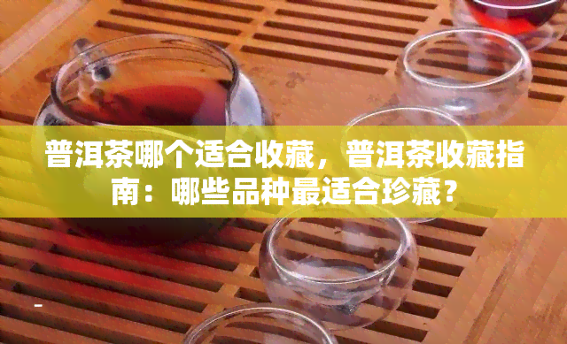 普洱茶哪个适合收藏，普洱茶收藏指南：哪些品种最适合珍藏？