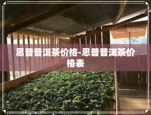 思普普洱茶价格-思普普洱茶价格表