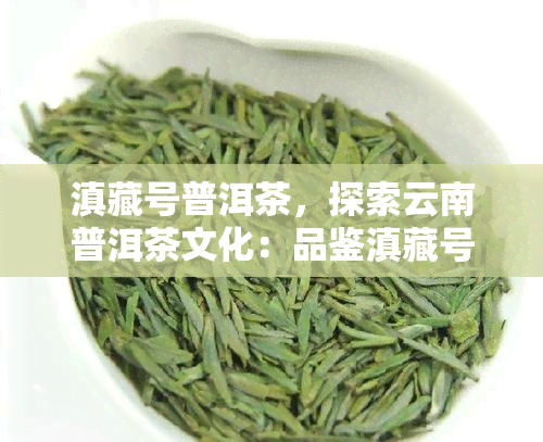 滇藏号普洱茶，探索云南普洱茶文化：品鉴滇藏号的韵味与历