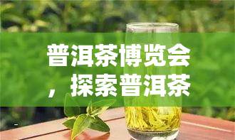 普洱茶博览会，探索普洱茶文化：参加普洱茶博览会