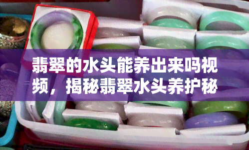 翡翠的水头能养出来吗视频，揭秘翡翠水头养护秘诀，视频解析告诉你！