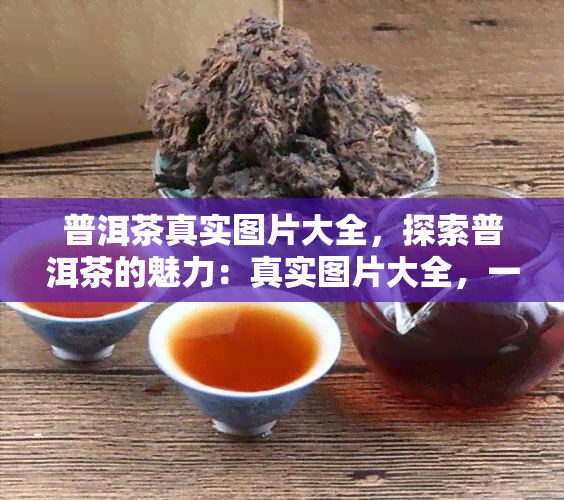 普洱茶真实图片大全，探索普洱茶的魅力：真实图片大全，一其风采！