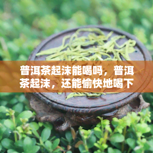 普洱茶起沫能喝吗，普洱茶起沫，还能愉快地喝下去吗？