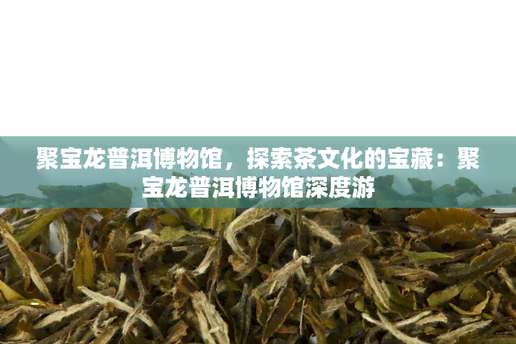 聚宝龙普洱博物馆，探索茶文化的宝藏：聚宝龙普洱博物馆深度游