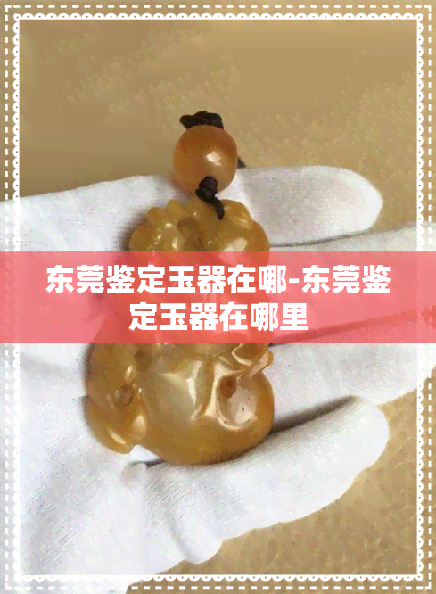 东莞鉴定玉器在哪-东莞鉴定玉器在哪里