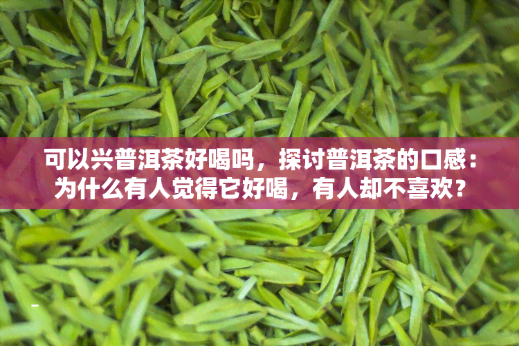 可以兴普洱茶好喝吗，探讨普洱茶的口感：为什么有人觉得它好喝，有人却不喜欢？