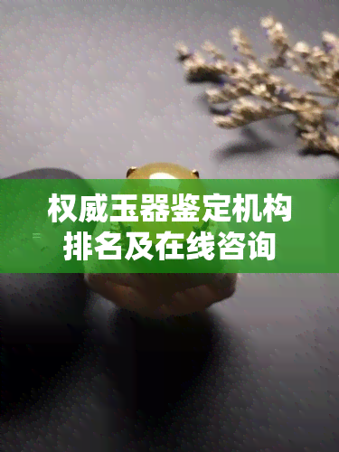 权威玉器鉴定机构排名及在线咨询