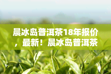 晨冰岛普洱茶18年报价，最新！晨冰岛普洱茶18年报价一览